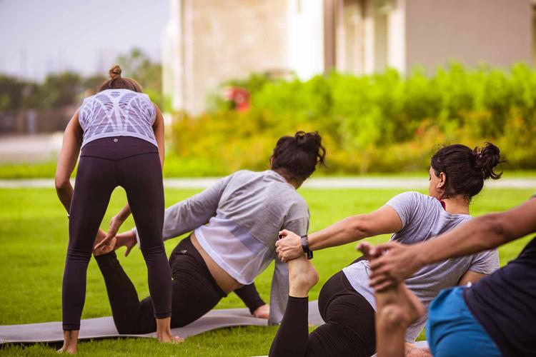 Fitness & Wellness